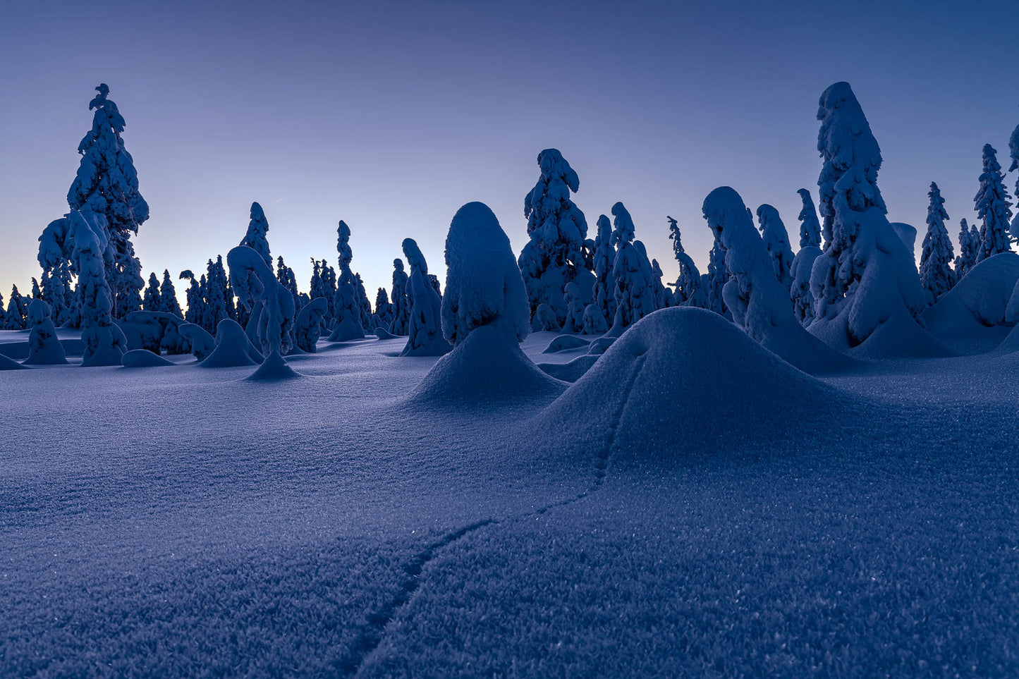 Nordmarka (2)