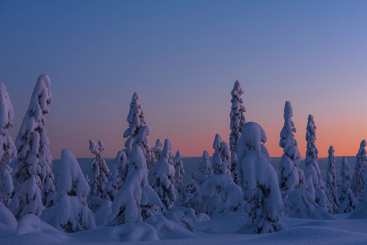 Nordmarka (8)