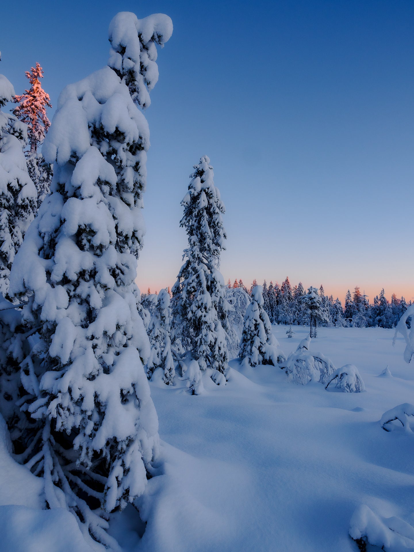 Romeriksåsen (5)