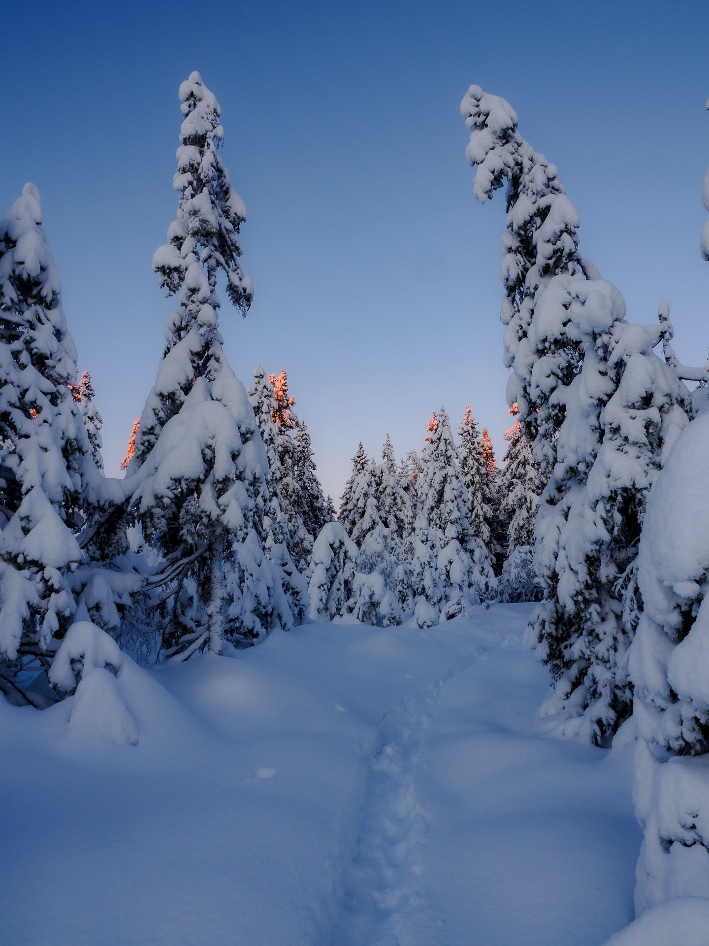 Romeriksåsen (7)