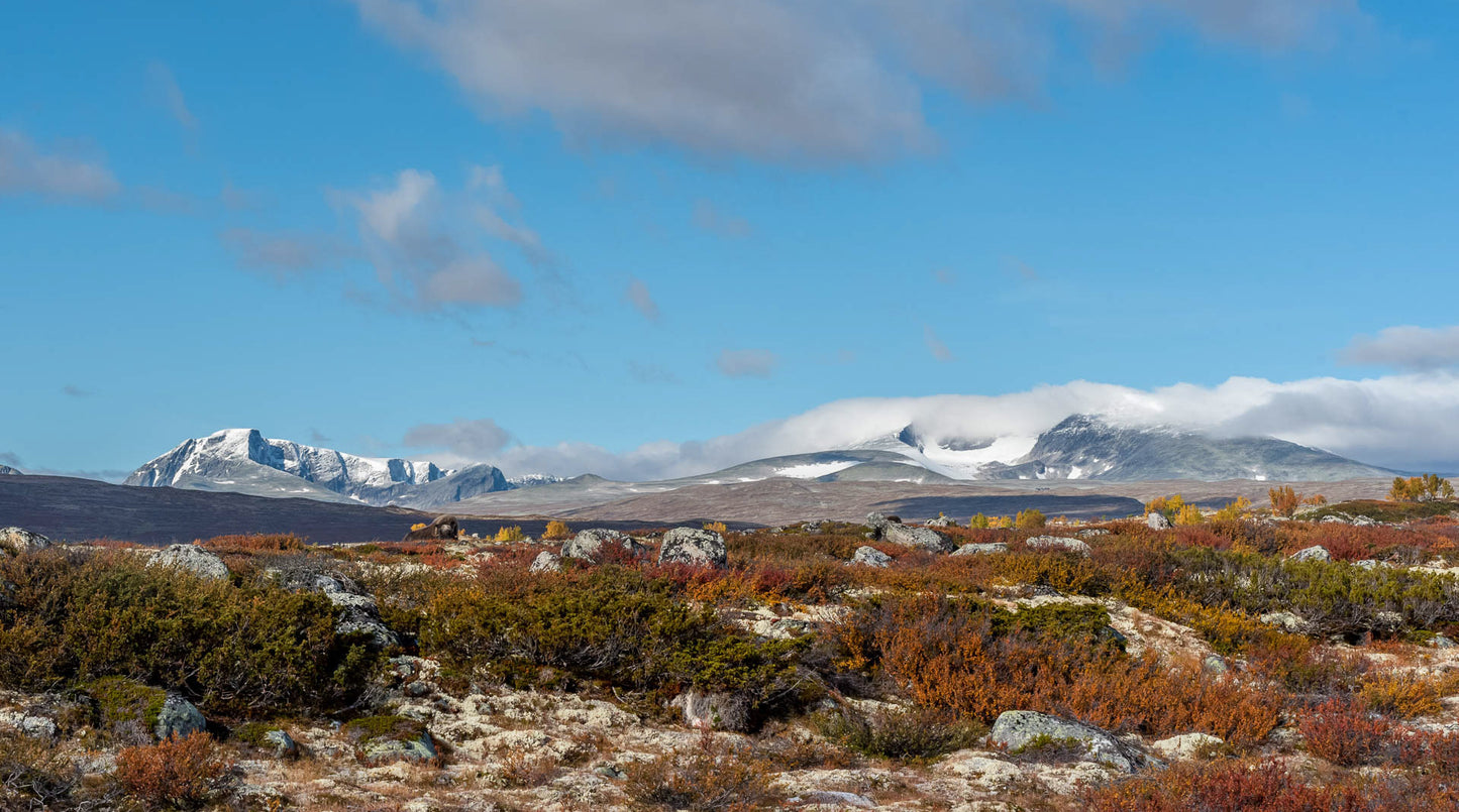Snøhetta (2)