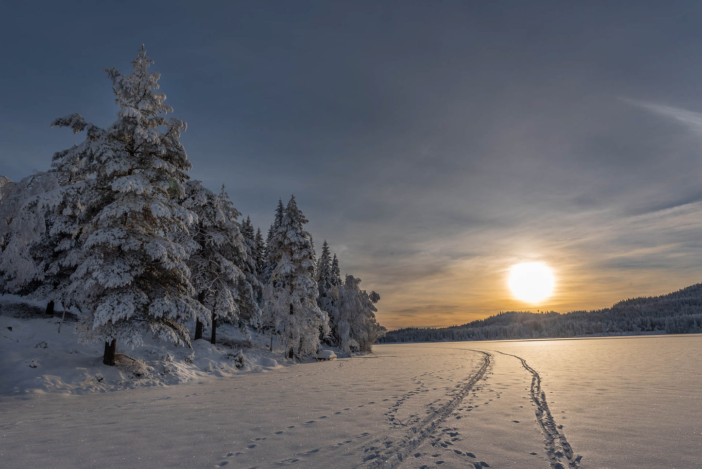 Nordmarka (5)