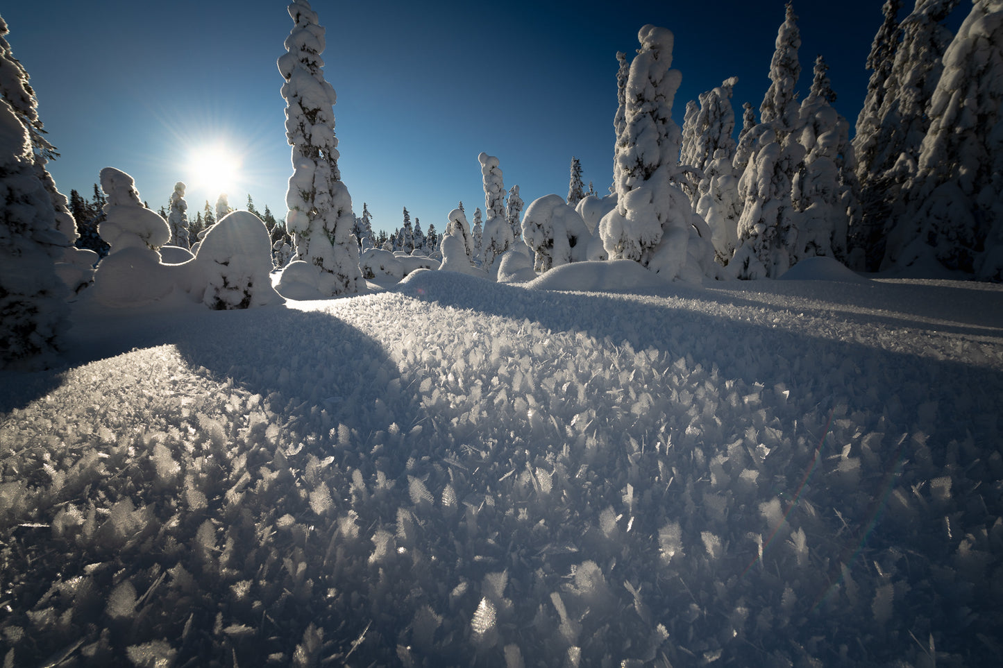 Romeriksåsen (4)