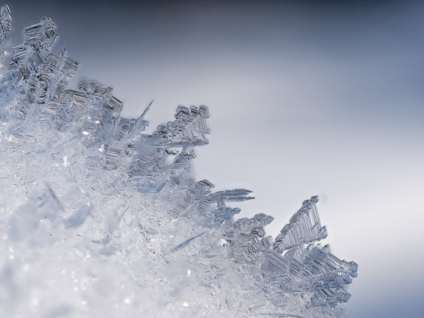 Ice crystals (2)